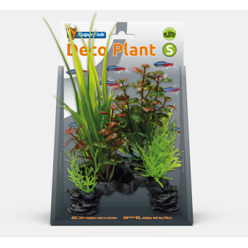 DECO PLANT ROTALA